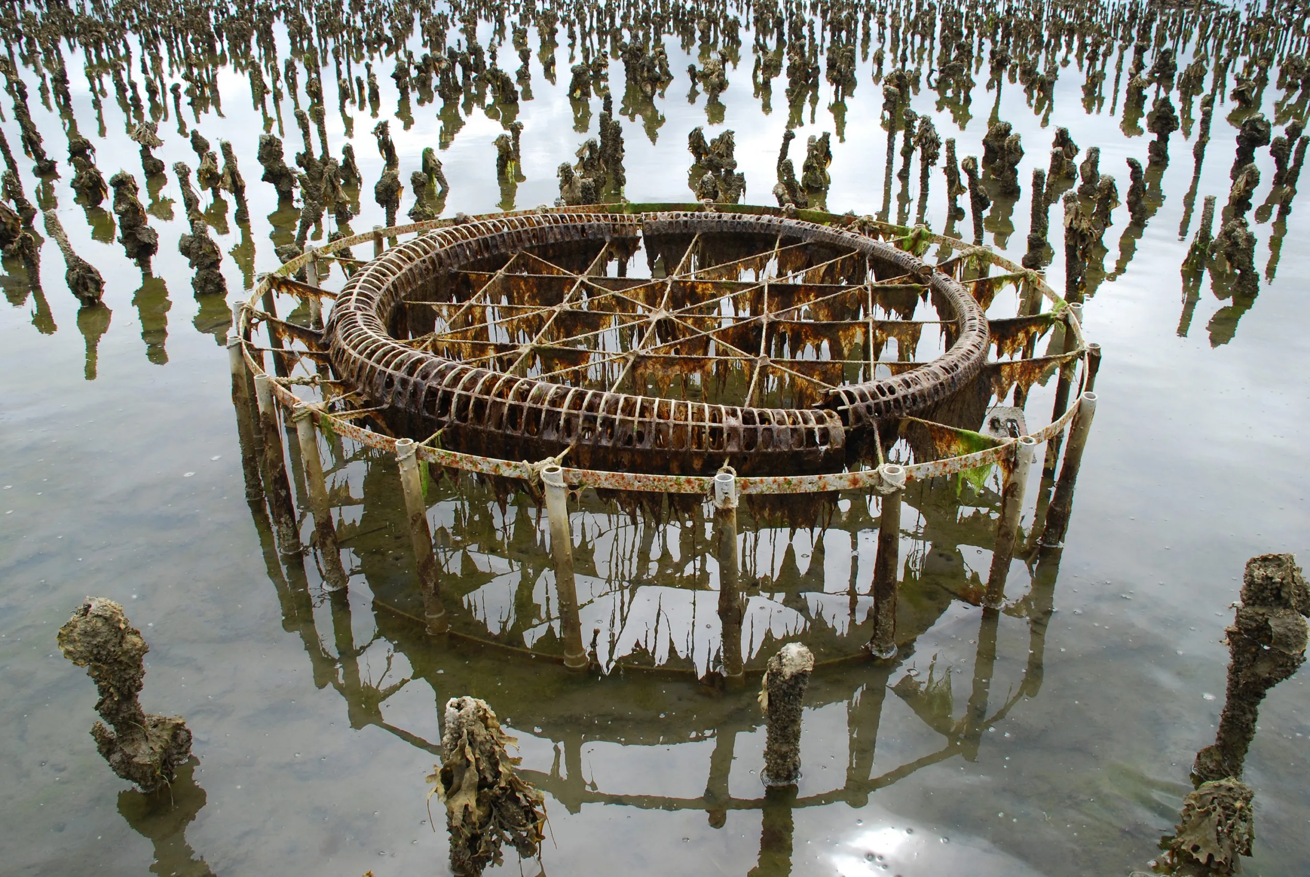 John Grade, Collector, 2008