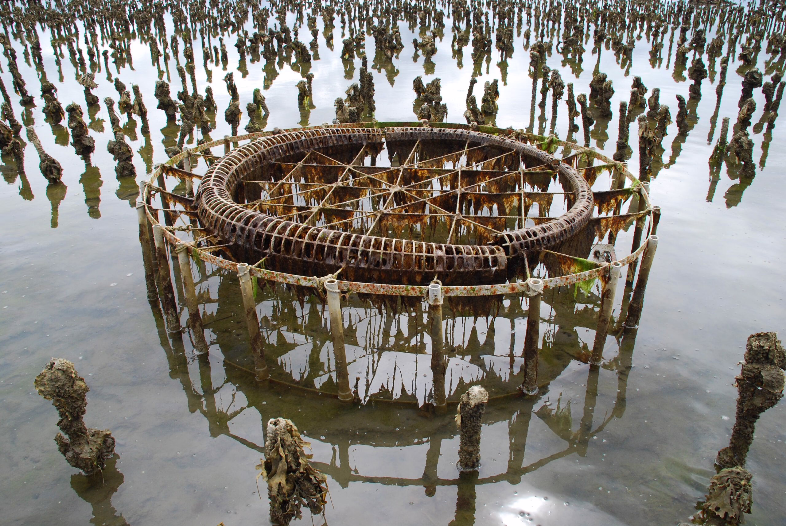 John Grade, Collector, 2008